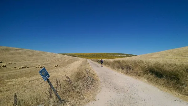 스페인의 제임스 Compostela Camino Santiago — 스톡 사진