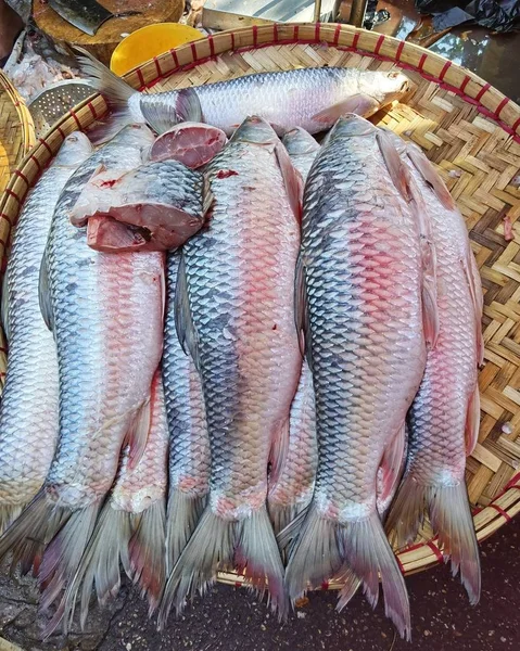 Свіжа Риба Вітрині Біля Порту Янгон — стокове фото
