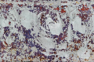 Leylak elementleri ve terracotta ile gri arkaplan çatlak boyalı eski duvar.