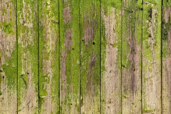 Texture, background: old wooden boards with peeling green paint — Stock Photo, Image