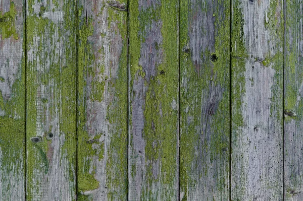 Wooden background: old fence with peeling green paint — Stock Photo, Image