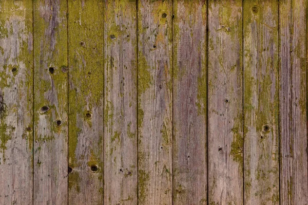 Wooden fence texture: old boards with peeling green paint — Stock Photo, Image