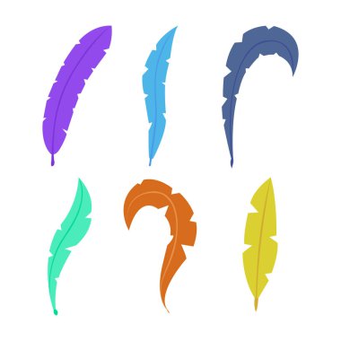 El çizimi çok güzel tüyler. Vektör çizimi. Beyaz arkaplandaki izole nesneler. Düz stil tasarım. Karnaval afişi, afişi, afişi için element.