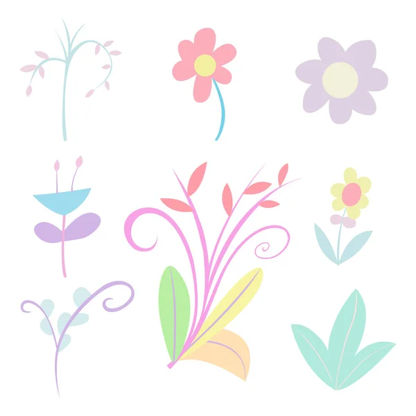 Collection Popular Floristic Flowers Decorative Plants Isolated White Background Set — Stock Vector