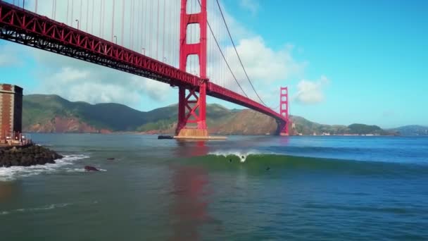 Εναέρια Άποψη Των Surfers Ιππασία Κύματα Κάτω Από Χρυσή Γέφυρα — Αρχείο Βίντεο