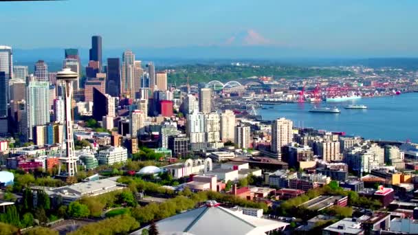 Légi Kilátás Seattle Mount Rainier Háttérben — Stock videók