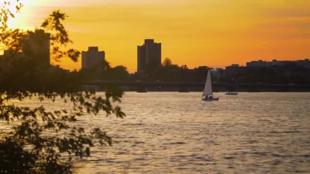 Boston City Skyline Über Dem Wasser Segelboote Bei Sonnenuntergang — Stockvideo