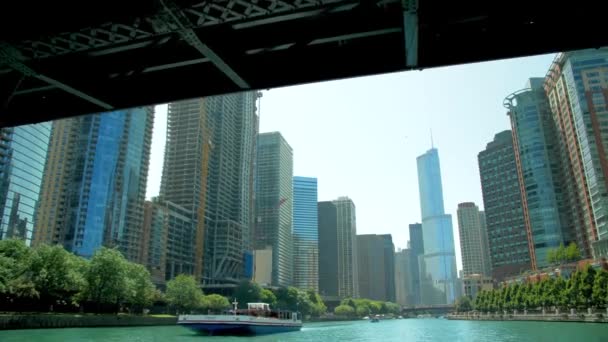 Rzeka Chicago Centrum Chicago — Wideo stockowe