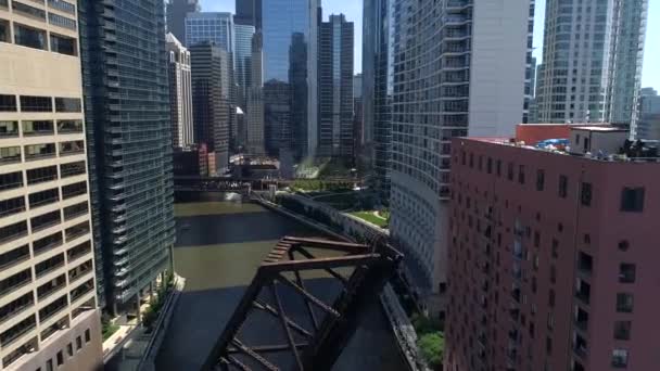 Rzeka Chicago Centrum Chicago — Wideo stockowe