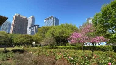 Houston Teksas şehir manzarası izleme çekimi