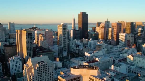 Centrum San Francisco Och Bukten Vid Solnedgången — Stockvideo