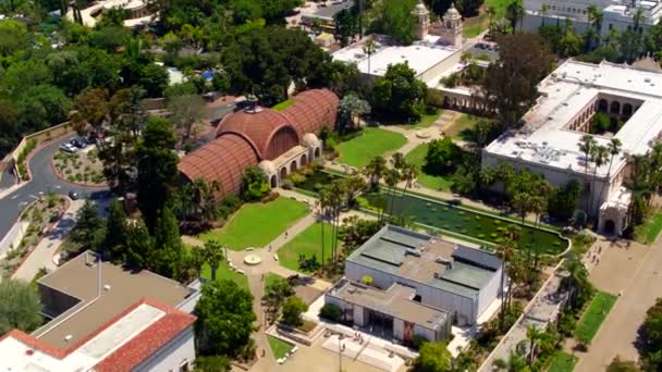 Κήπο Και Κρίνα Μαξιλάρια Στο Πάρκο Balboa — Αρχείο Βίντεο