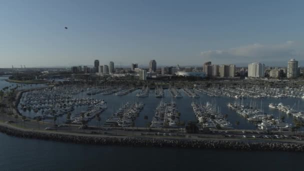 Long Beach Marina Aerial Drone — Stock Video