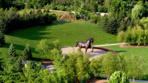 马像在Frederik Meijer花园宏伟的急流 — 图库视频影像