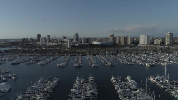 Longue Marina Plage Par Drone Aérien — Video
