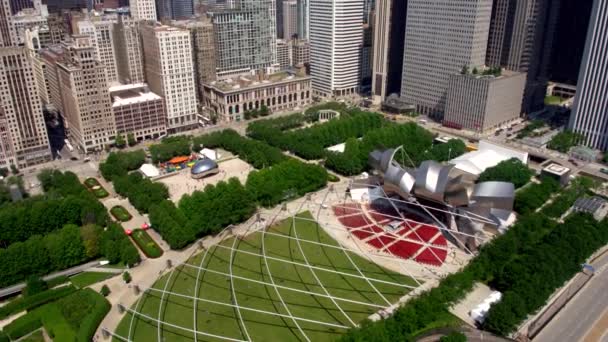 Millennium Park Chicago Skyline — Stock Video