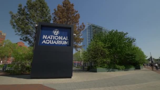 Nationaal Aquarium Ingang Teken Baltimore — Stockvideo