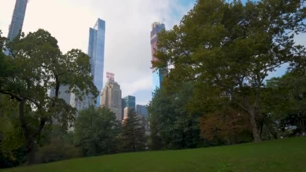 New York City Skyline Vom Central Park — Stockvideo