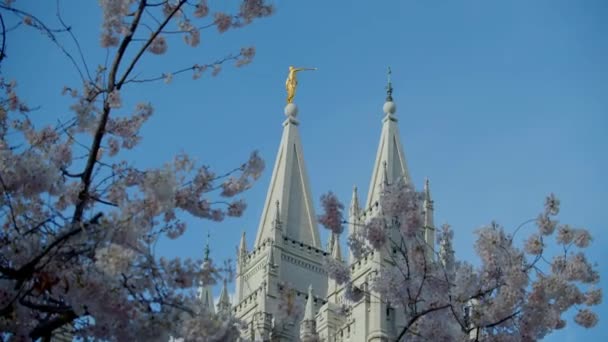 Sal Lago Cidade Igreja Últimos Dias Santos Templo Exterior — Vídeo de Stock