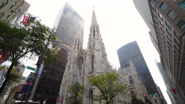 Patricks Cathédrale Nyc Ralenti — Video