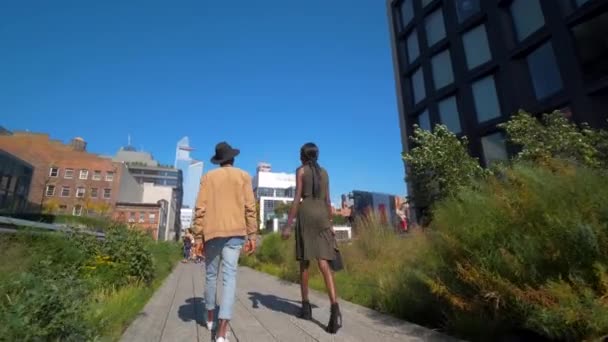 Joven Negro Pareja Camina Nuevo York Highline Alta Línea — Vídeo de stock