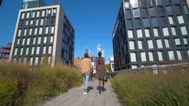 Młody Para Spacery Nowy Jork Highline Wysokiej Linenyc Zróżnicowane Czarny — Wideo stockowe