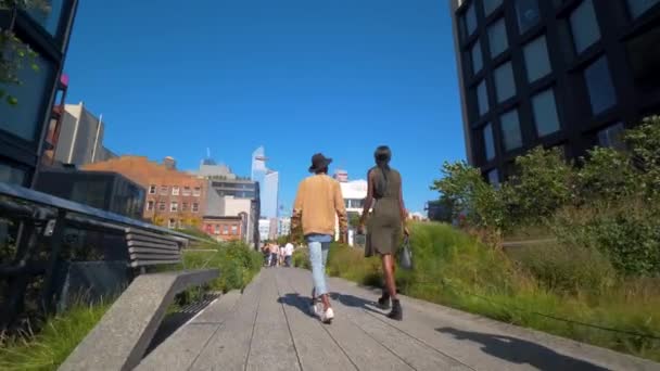 若いカップルはニューヨークのハイラインの高Linenyc多様な黒人観光客を歩く — ストック動画