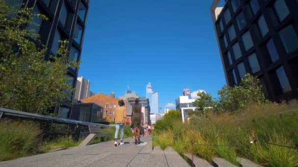 Joven Pareja Camina Nueva York Highline Alta Linenyc Diverso Negro — Vídeo de stock