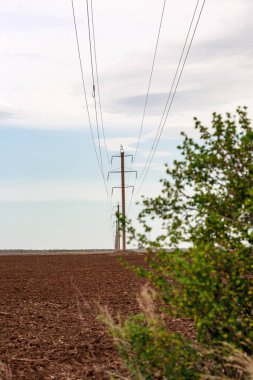 spring fields, green trees are the pillars of the sky