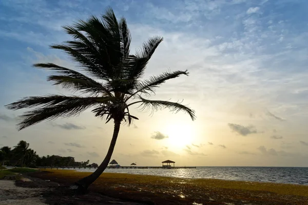 Sonnenaufgang in Belize lizenzfreie Stockbilder