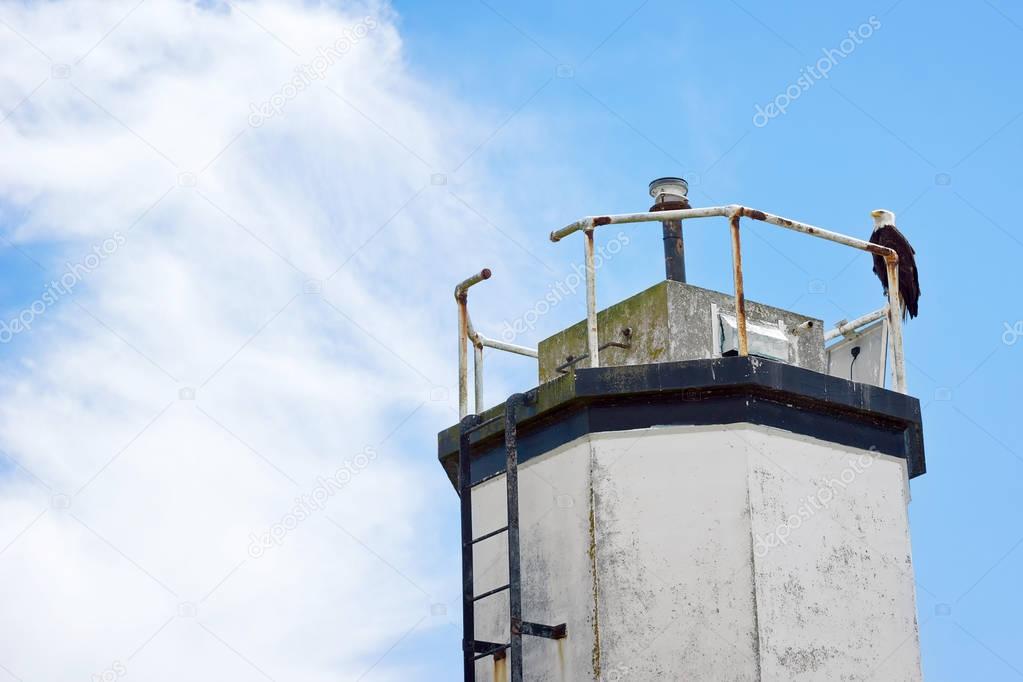 Eagle on an Old Lighthouse 
