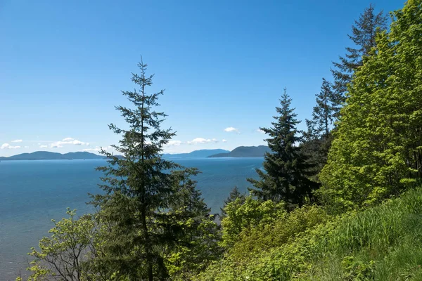 Washington eyaletinde bir yaz gün boyunca orman hillside bir okyanus ve uzak arka planda görülen Adaları ile değil. Daha çok bilinen adıyla San Juan Adaları, Bellingham bu bakış açısı olduğunu. 
