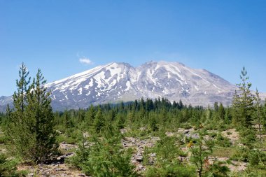 St Helens Dağı, Washington eyaletinde patlayan bir yanardağdır. Orman bu görkemli yanardağın doğu tarafını sarmış durumda.. 