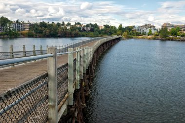 Victoria İ.Ö. yakınlarındaki Selkirk yolunda yaz sonu.  