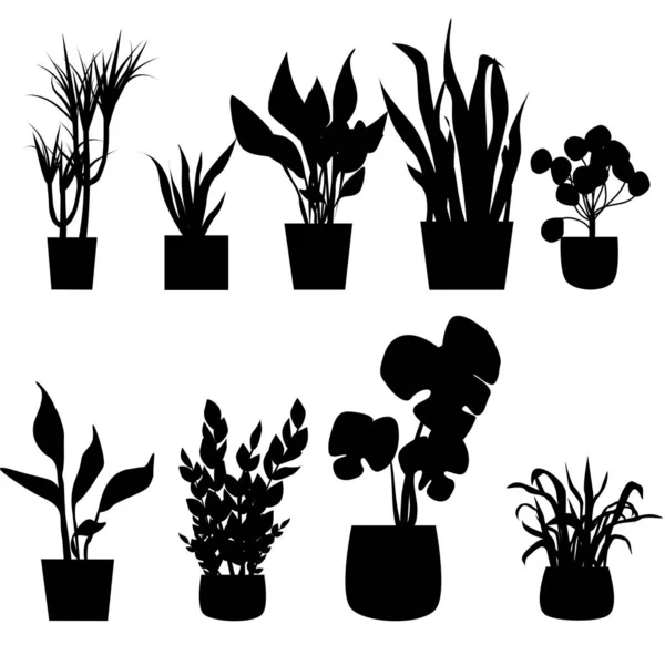 Conjunto Siluetas Albergan Plantas Macetas Ilustración Vectorial — Archivo Imágenes Vectoriales