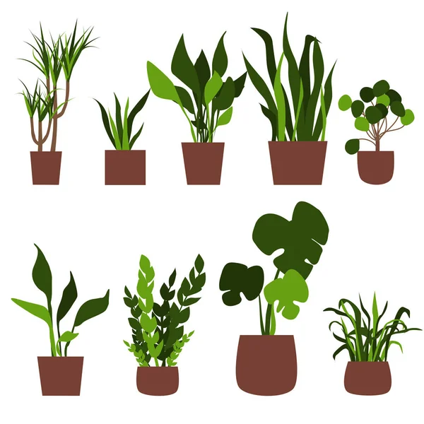 Groene Planten Potten Platte Vectorillustratie — Stockvector