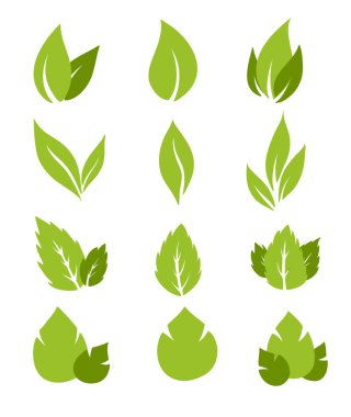 Beyaz arkaplanda izole edilmiş simge vektörü bırakır. Ağaçların ve bitkilerin çeşitli yeşil yaprakları. Eko ve biyoloji logosu için elementler. Vektör İllüzyonu. Biyolojik bitki ve ağaç çiçekli orman konsepti