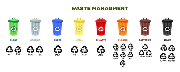 Illustrazione vettoriale di contenitori per rifiuti di diversi tipi. Gestione dei rifiuti Conept Zero rifiuti, cernita e riciclo Codici identificativi della resina Ridurre il riutilizzo riciclare infografiche — Vettoriale Stock