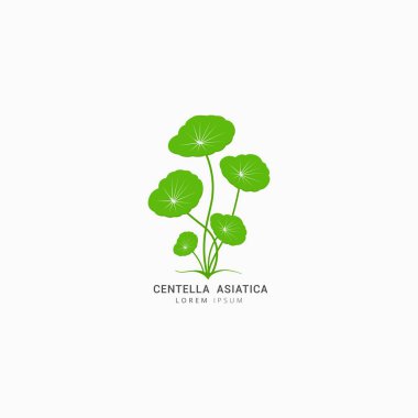 Centella Asiatica simge logo vektör tasarım şablonu