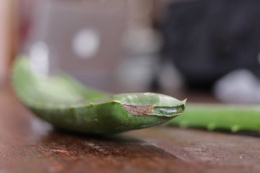 Aloe vera yaprak ve hamuru parçaları beyaz bir arkaplanda izole edilmiş.