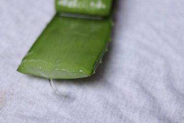 Aloe vera yaprak ve hamuru parçaları beyaz bir arkaplanda izole edilmiş.