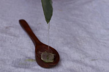 Aloe vera yaprak ve hamuru parçaları beyaz bir arkaplanda izole edilmiş.