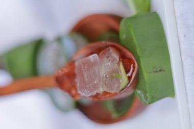 Aloe vera yaprak ve hamuru parçaları beyaz bir arkaplanda izole edilmiş.