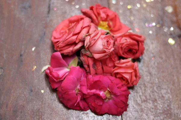 Розовая Роза Природе Зеленом Фоне — стоковое фото