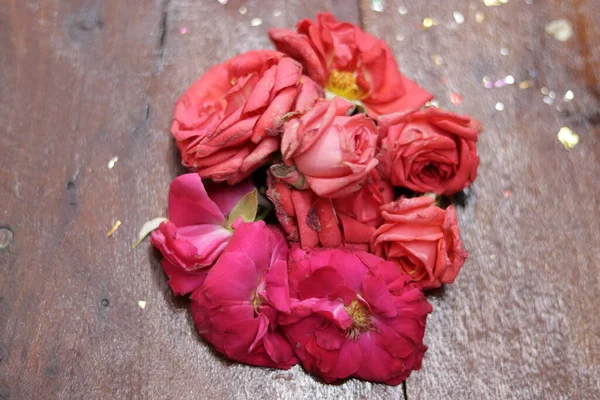 Розовая Роза Природе Зеленом Фоне — стоковое фото