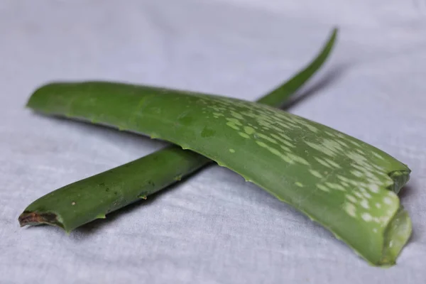 Pedaços Folha Polpa Aloe Vera Isolados Sobre Fundo Branco — Fotografia de Stock