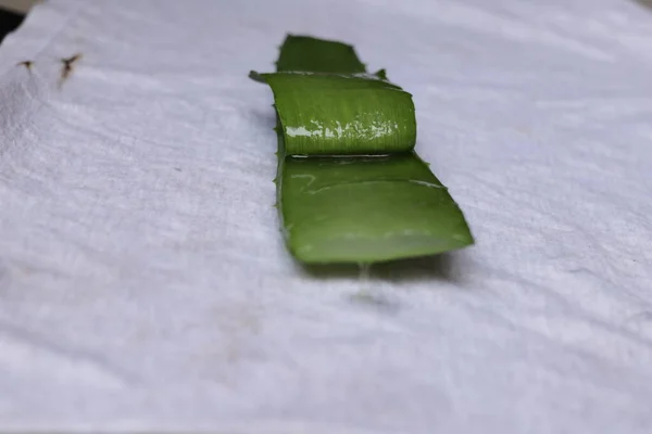 Aloe Vera Yaprak Hamuru Parçaları Beyaz Bir Arkaplanda Izole Edilmiş — Stok fotoğraf