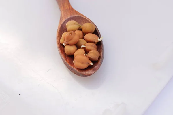 Fresh Germinated Chickpeas White Background — Stock Photo, Image