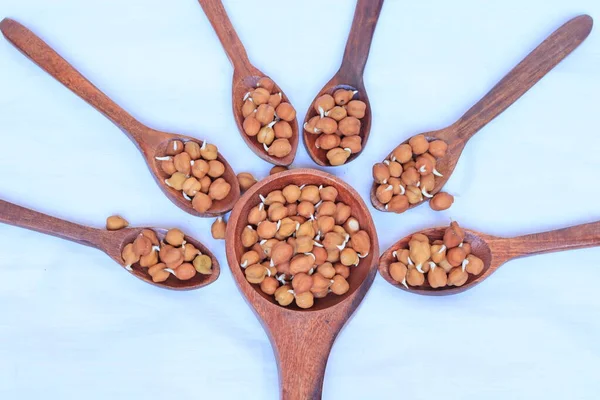 Fresh Germinated Chickpeas White Background — Stock Photo, Image