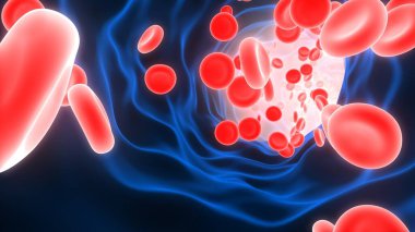 Red Blood Cells Flowing Through Human Circulatory System 3d rendering clipart